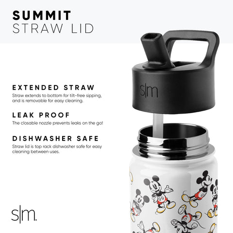 Simple Modern 16 Oz Summit Kids Tritan Water Bottle with Straw Lid